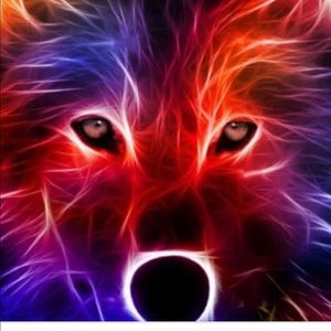 Meet your Posher, Bo